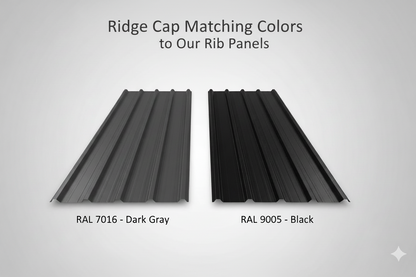 Two roof panels labeled RAL 7016 Dark Gray and RAL 9005 Black on a gray background.