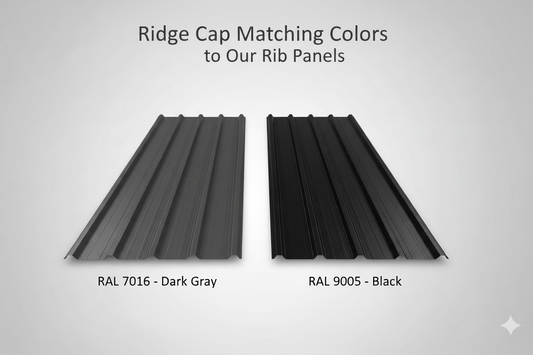 Two roof panels labeled RAL 7016 Dark Gray and RAL 9005 Black on a gray background.