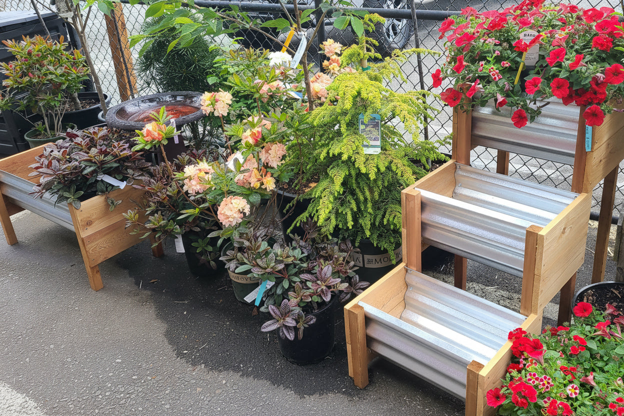 Wooden planters with flowers and plants on a street corner
